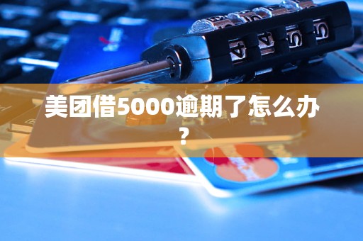 美团借5000逾期了怎么办？