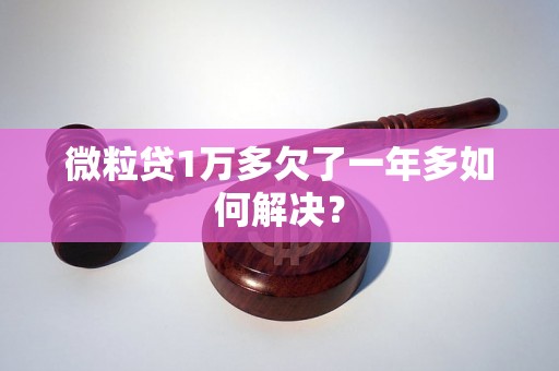 微粒贷1万多欠了一年多如何解决？