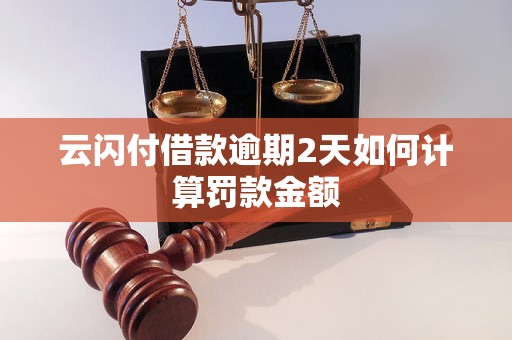 云闪付借款逾期2天如何计算罚款金额