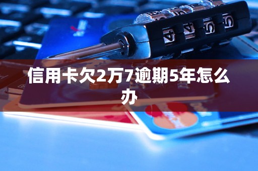 信用卡欠2万7逾期5年怎么办