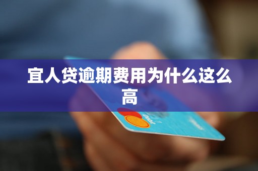 宜人贷逾期费用为什么这么高