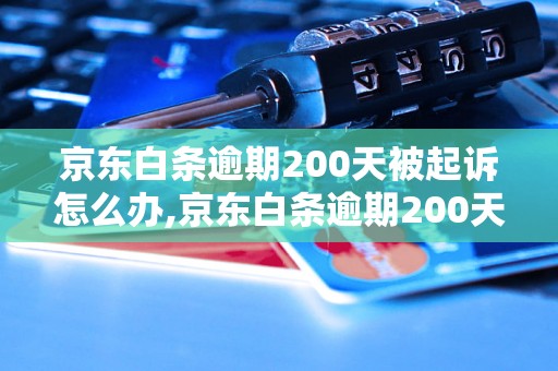 京东白条逾期200天被起诉怎么办,京东白条逾期200天起诉后果