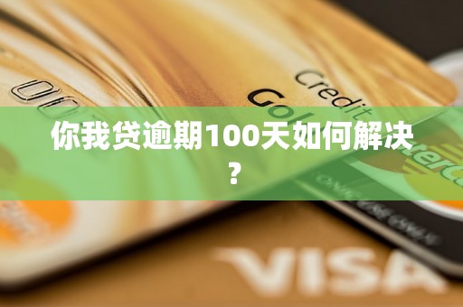 你我贷逾期100天如何解决？