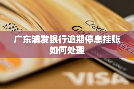 广东浦发银行逾期停息挂账如何处理