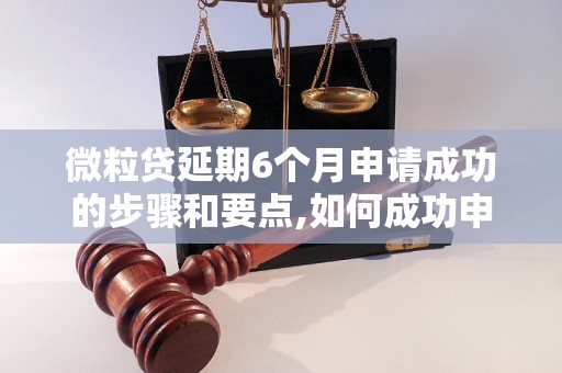 微粒贷延期6个月申请成功的步骤和要点,如何成功申请微粒贷延期6个月