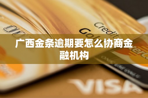 广西金条逾期要怎么协商金融机构