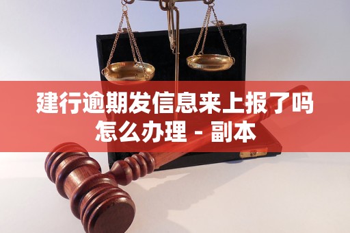 建行逾期发信息来上报了吗怎么办理 - 副本