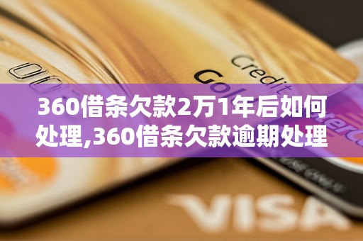 360借条欠款2万1年后如何处理,360借条欠款逾期处理方法