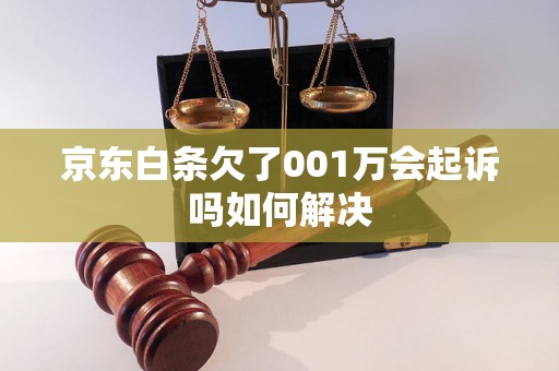 京东白条欠了001万会起诉吗如何解决