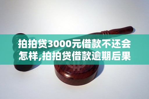 拍拍贷3000元借款不还会怎样,拍拍贷借款逾期后果