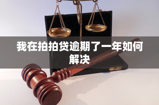 我在拍拍贷逾期了一年如何解决