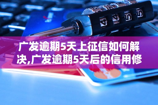 广发逾期5天上征信如何解决,广发逾期5天后的信用修复方法