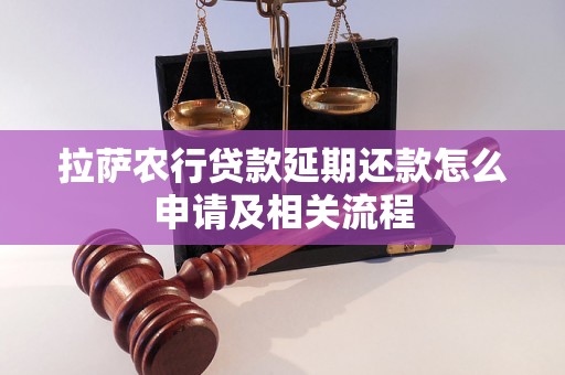 拉萨农行贷款延期还款怎么申请及相关流程