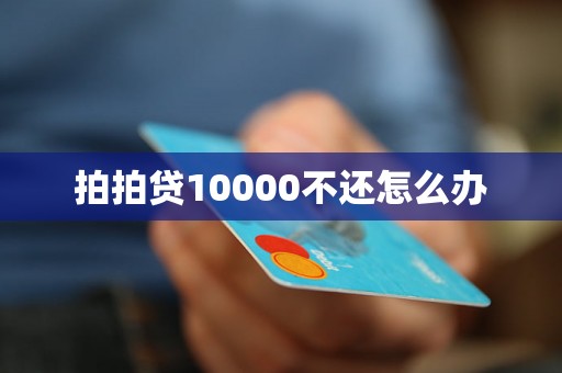 拍拍贷10000不还怎么办