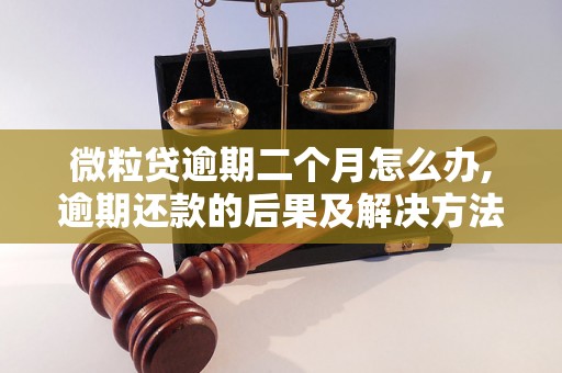 微粒贷逾期二个月怎么办,逾期还款的后果及解决方法