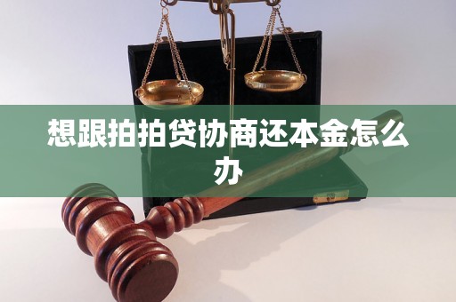 想跟拍拍贷协商还本金怎么办