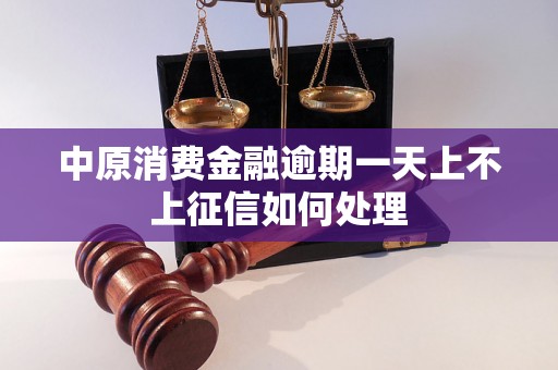 中原消费金融逾期一天上不上征信如何处理