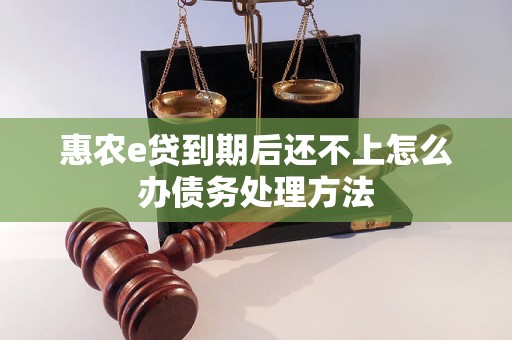 惠农e贷到期后还不上怎么办债务处理方法