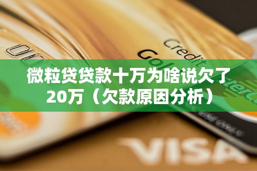 微粒贷贷款十万为啥说欠了20万（欠款原因分析）