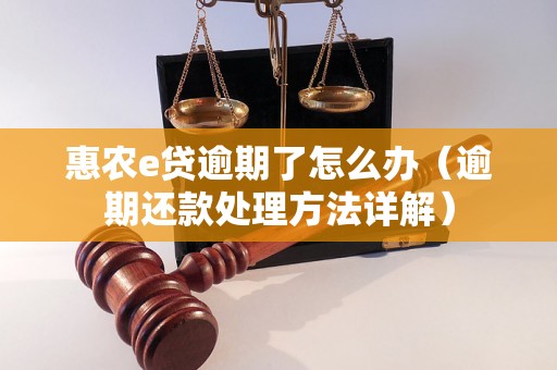 惠农e贷逾期了怎么办（逾期还款处理方法详解）