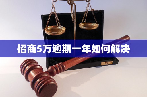 招商5万逾期一年如何解决