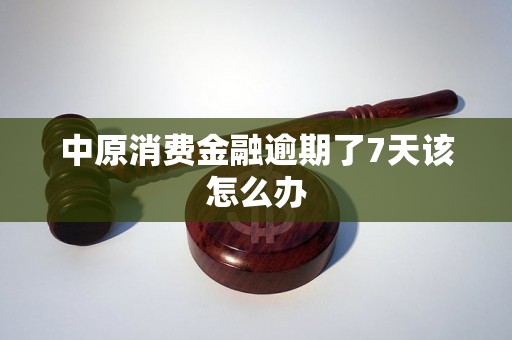 中原消费金融逾期了7天该怎么办