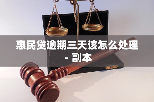 惠民贷逾期三天该怎么处理 - 副本