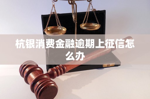 杭银消费金融逾期上征信怎么办