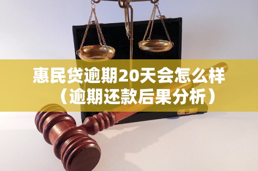 惠民贷逾期20天会怎么样（逾期还款后果分析）