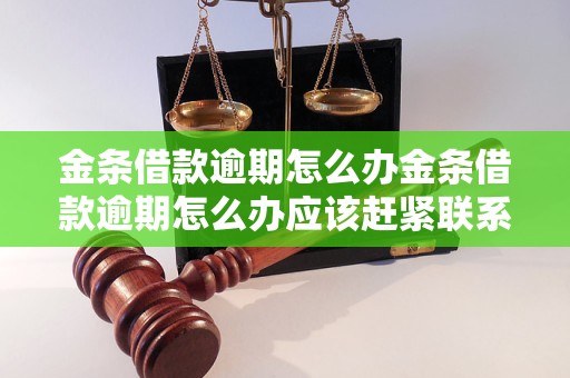 金条借款逾期怎么办金条借款逾期怎么办应该赶紧联系借款公司进行沟通 - 副本