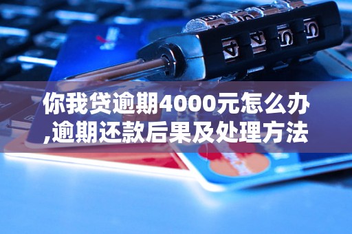 你我贷逾期4000元怎么办,逾期还款后果及处理方法