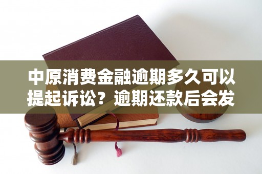 中原消费金融逾期多久可以提起诉讼？逾期还款后会发生什么？