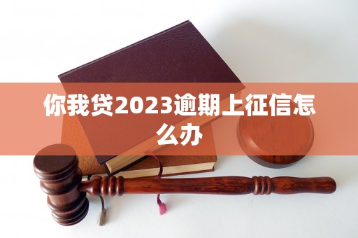 你我贷2023逾期上征信怎么办