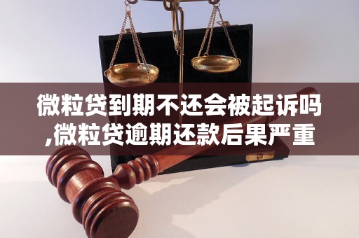 微粒贷到期不还会被起诉吗,微粒贷逾期还款后果严重吗