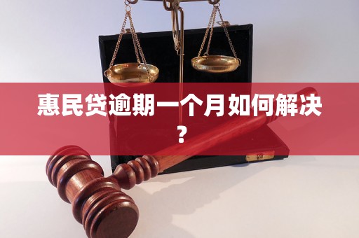 惠民贷逾期一个月如何解决？