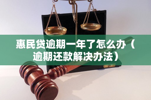 惠民贷逾期一年了怎么办（逾期还款解决办法）