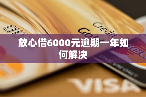 放心借6000元逾期一年如何解决