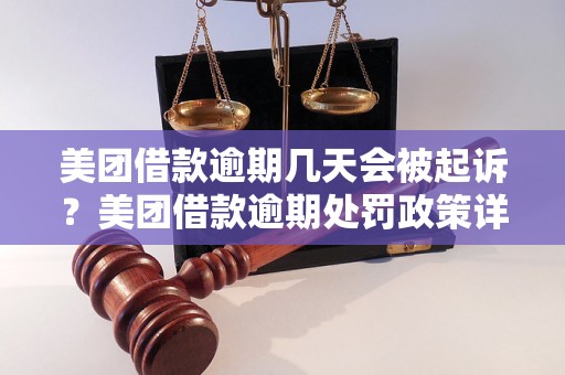 美团借款逾期几天会被起诉？美团借款逾期处罚政策详解