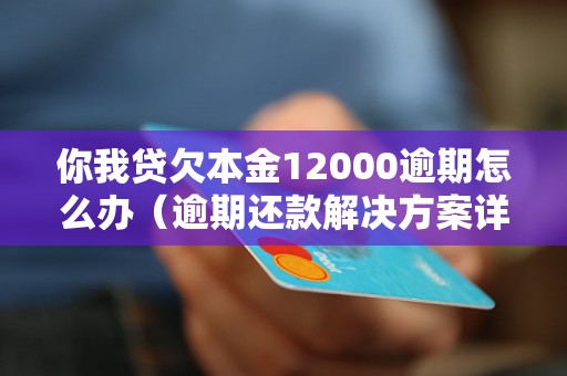 你我贷欠本金12000逾期怎么办（逾期还款解决方案详解）