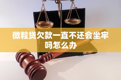 微粒贷欠款一直不还会坐牢吗怎么办