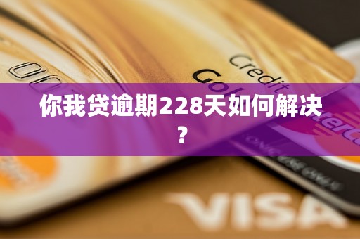 你我贷逾期228天如何解决？