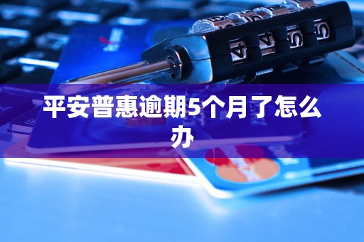 平安普惠逾期5个月了怎么办