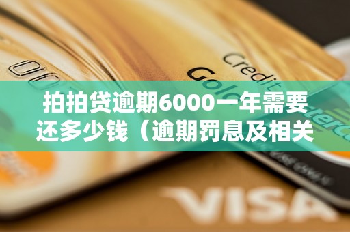 拍拍贷逾期6000一年需要还多少钱（逾期罚息及相关费用解析）