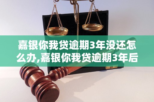 嘉银你我贷逾期3年没还怎么办,嘉银你我贷逾期3年后果严重吗