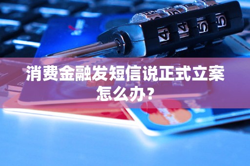 消费金融发短信说正式立案怎么办？