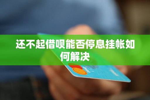 还不起借呗能否停息挂帐如何解决