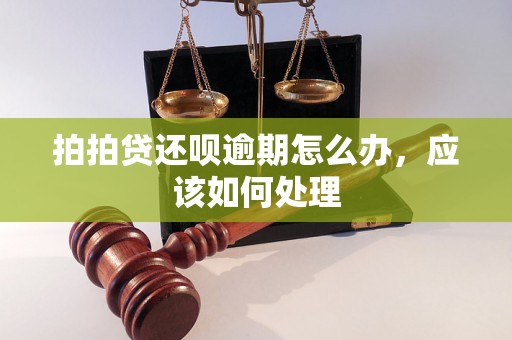 拍拍贷还呗逾期怎么办，应该如何处理