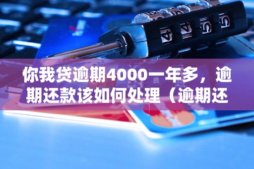 你我贷逾期4000一年多，逾期还款该如何处理（逾期还款的后果及解决办法）