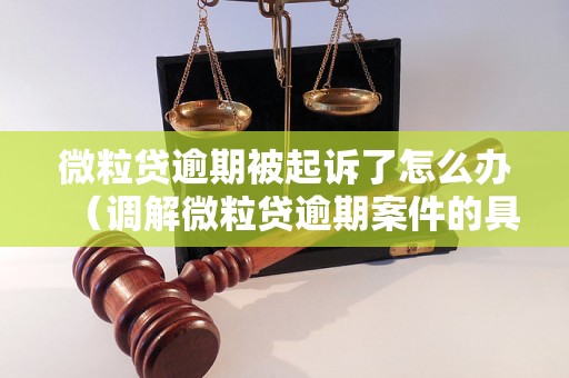 微粒贷逾期被起诉了怎么办（调解微粒贷逾期案件的具体步骤）