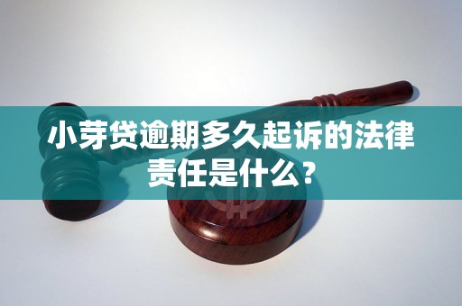 小芽贷逾期多久起诉的法律责任是什么？